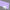 Cast Acrylic Violet Solid Colour(UNI-PM132)