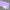 Cast Acrylic Violet solid(UNI-PE132)