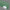 Cast Acrylic Forest Green Tint 23% translucent(UNI-PM362)