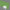 Cast Acrylic Kath Green Solid colour(UNI-PE4439)