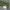 Cast Acrylic Danmur Green Solid colour(UNI-PE4442)