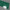 Cast Acrylic Forest Green Solid colour (UNI-PE4453)