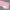 Cast Acrylic Pink Solid Colour(UNI-PE4615)