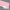 Pastel Pink Satin/Gloss(UNI-PE1895-3)